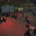 Medium Cow Barn2