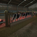 Medium Cow Barn3