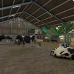 Medium Cow Barn4