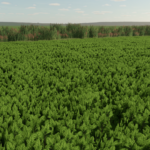 Mint Foliage3