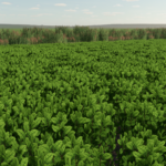 Mint Foliage4