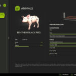 NX FeedCalculator3
