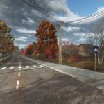 New Zielonka2