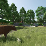 Pasture With Feeding Table5