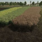 Realistic Canola Growth Cycle in Europe