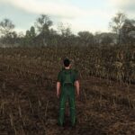 Realistic Maize Growth System in Europe4