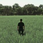Realistic Oat Growth Cycle in Europe2