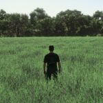 Realistic Oat Growth Cycle in Europe3