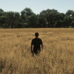 Realistic Oat Growth Cycle in Europe4