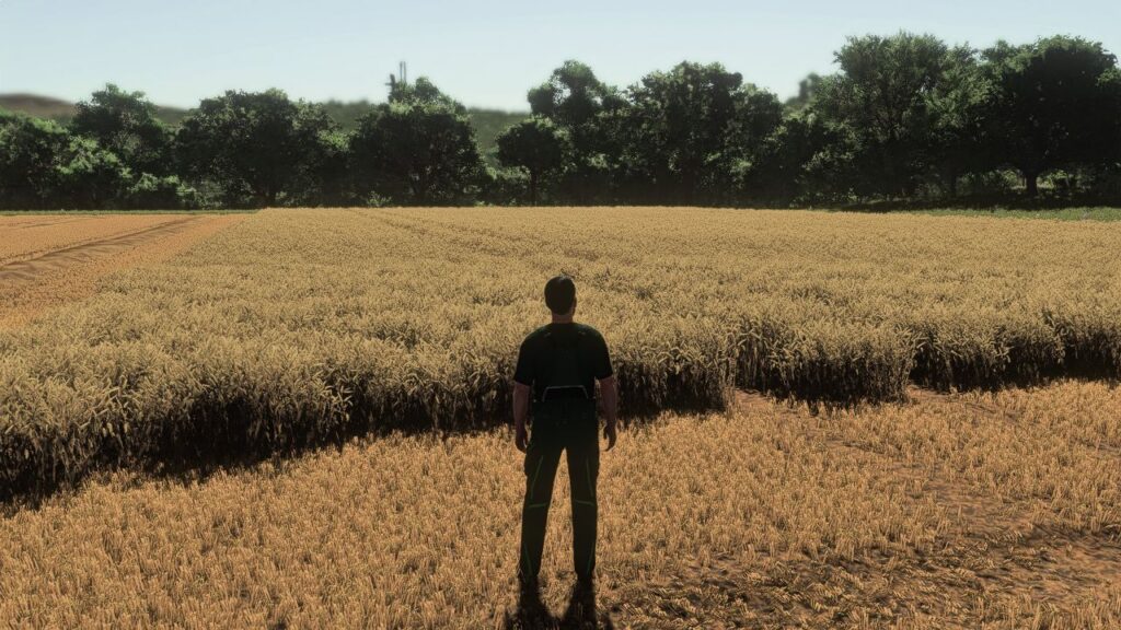 Realistic Wheat & Barley - Europe Growth Cycle V1.0