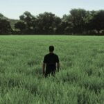 Realistic Wheat & Barley - Europe Growth Cycle V1.0