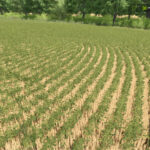Row Crop System