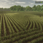 Row Crop System2