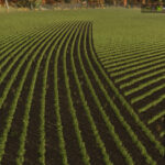 Row Crop System3