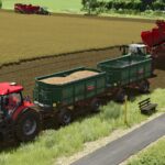 Rudolph DK 280 W4