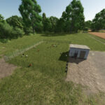 Small Chicken Coop