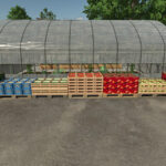 Small Greenhouse4