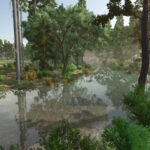 Sonny Farm6