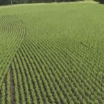 SuedBrazil 4x – Row Crop System2