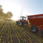 Tatu Marchesan DCA2MC 105002