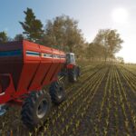Tatu Marchesan DCA2MC 105003