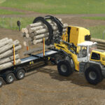 Torion1914 / L556XPower Pack V1.0