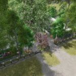 Universal house5