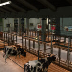 Wagner Farm6
