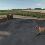 Who Let The Dogs Out