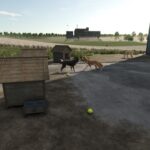 Who Let The Dogs Out3