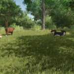 Animal pack - More Cattle Breeds Edition2