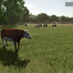 Animal pack - More Cattle Breeds Edition4