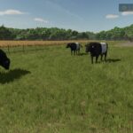 Animal pack - More Cattle Breeds Edition5