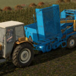 Anna Z-6443