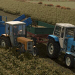 Anna Z-6445