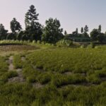 Ashwick Flats NZ V1.04