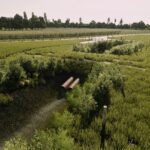 Ashwick Flats NZ V1.06