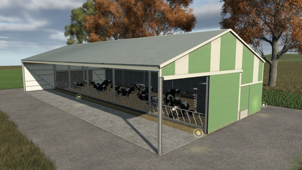 Barn For Cattle