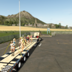 Barnyard Beauties