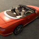 Bentley Continental GT Number 15
