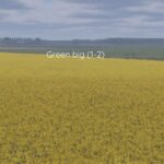 Better canola texture