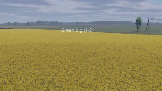 Better canola texture