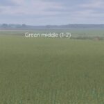 Better canola texture2