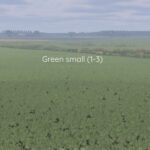 Better canola texture3