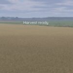 Better canola texture4