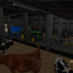 Big Barn With Cows5