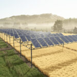 Elevated Solar Panel2