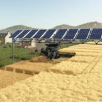 Elevated Solar Panel3