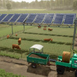 Elevated Solar Panel4