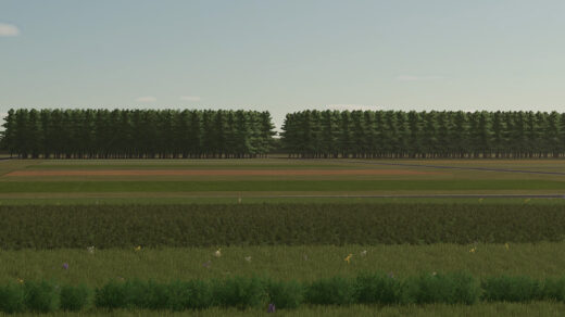 Golden Lands